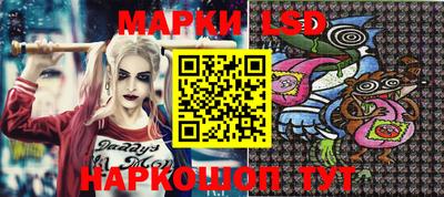 индика Обь