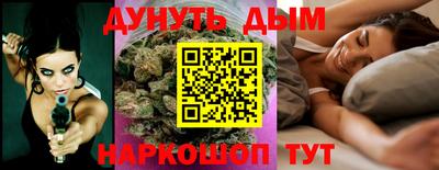индика Обь