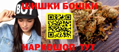 индика Обь