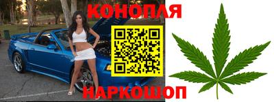 индика Обь