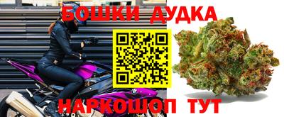 индика Обь