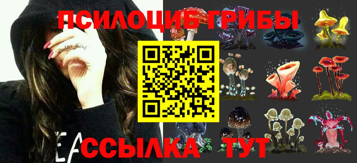Псилоцибиновые грибы Cubensis Спасск-Дальний