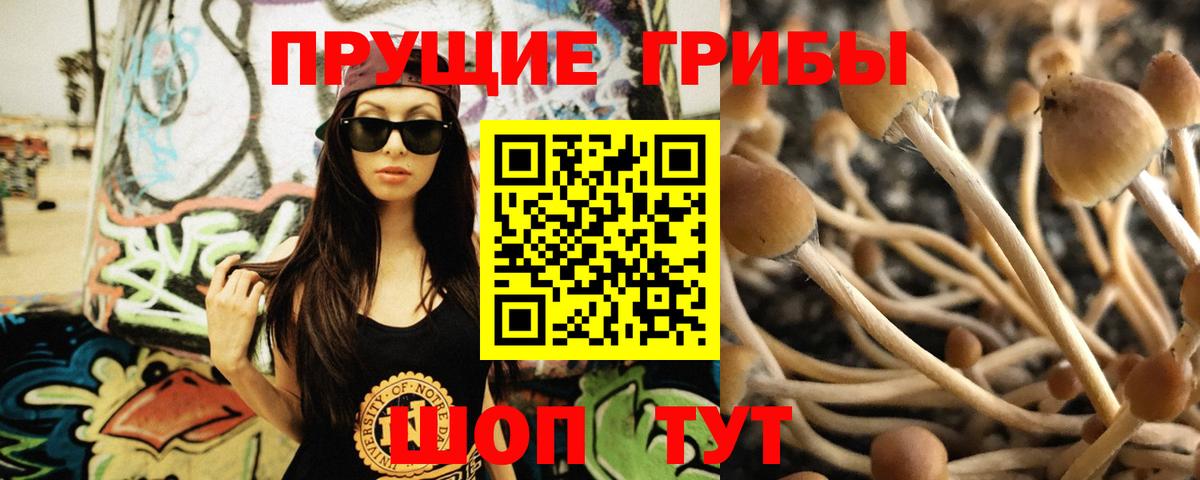 Спасск-Дальний  сколько стоит  Галлюциногенные грибы Cubensis  Вход с VPN  Галлюциногенные грибы Cubensis 