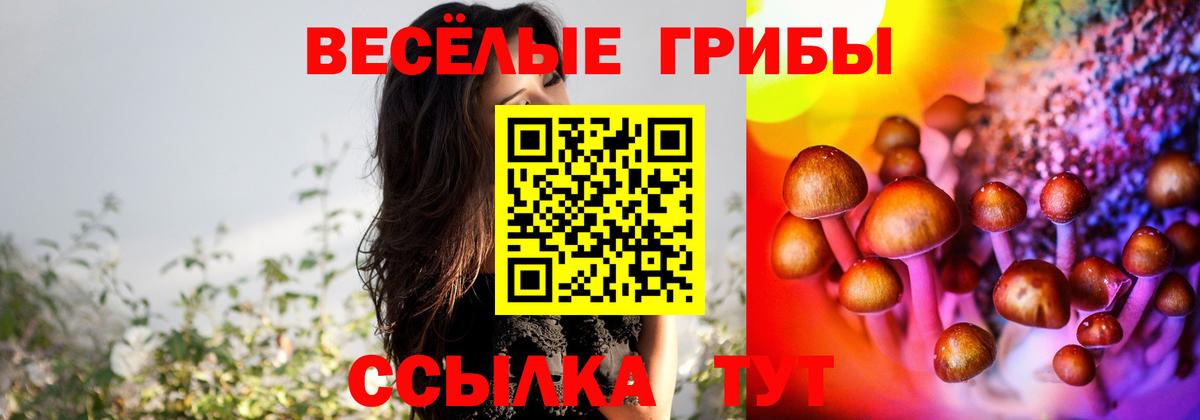 ГАШИШ Спасск-Дальний